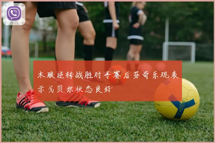 木狼逆转战胜对手赛后芬奇乐观表示戈贝尔状态良好
